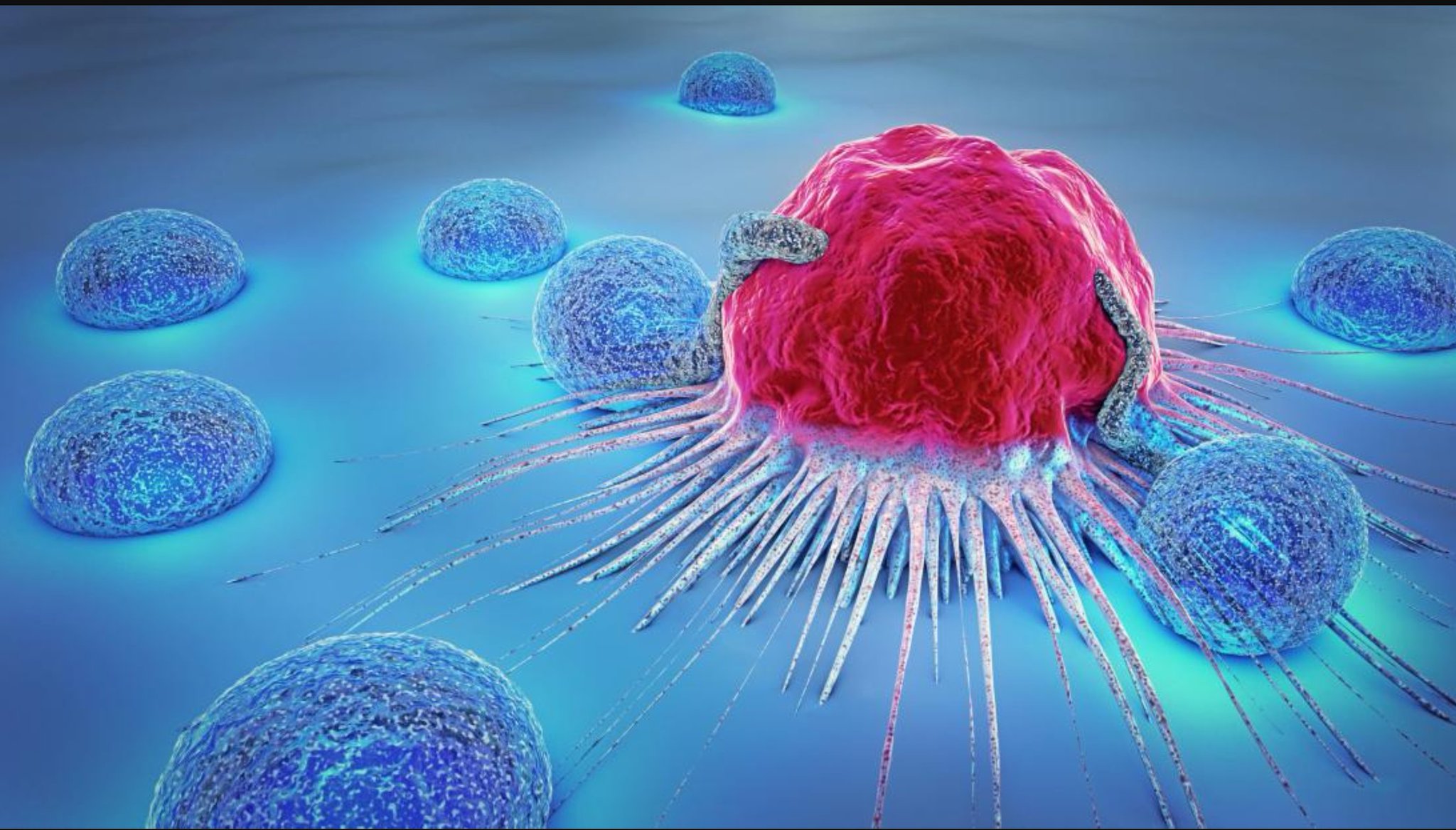 how-cancer-cells-eats-each-other-to-survive-tekh-decoded